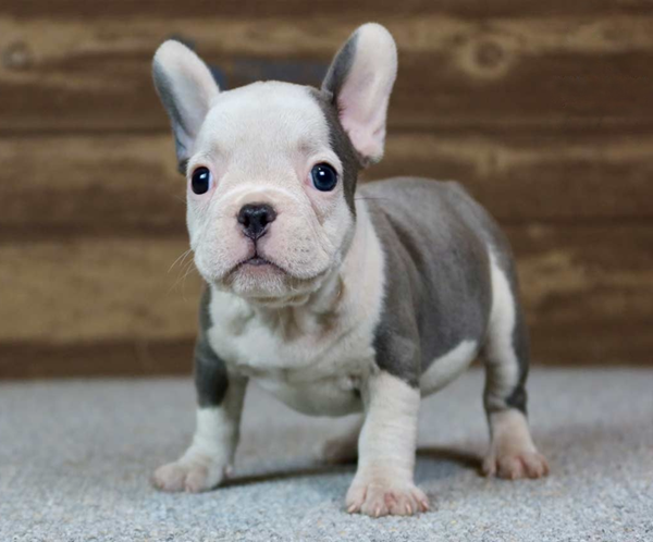 Barkha3 Barkha, the precious