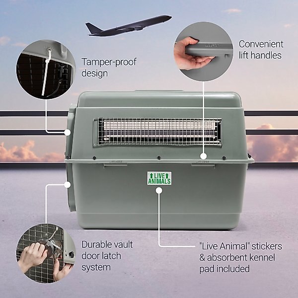 Petmate Sky Dog & Cat Kennel, X-Large