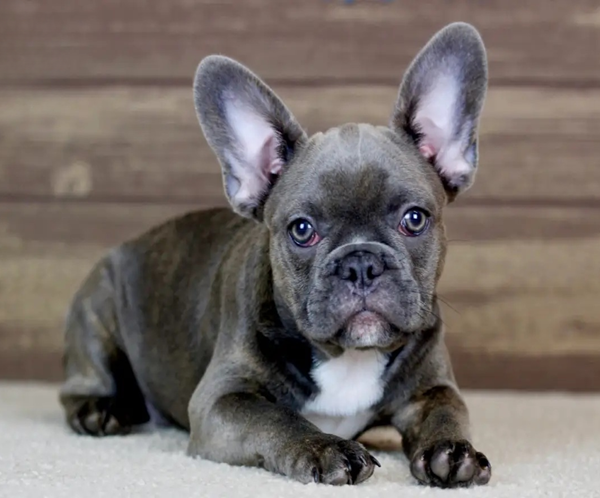 luana2 Luana, the calm