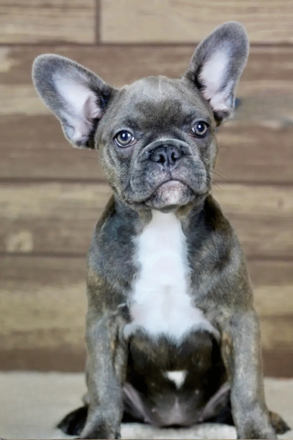 luana3 Luana, the calm