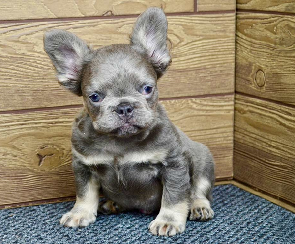 ramsey2 Ramsey, the munchkin