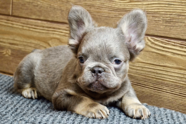 ramsey3 Ramsey, the munchkin